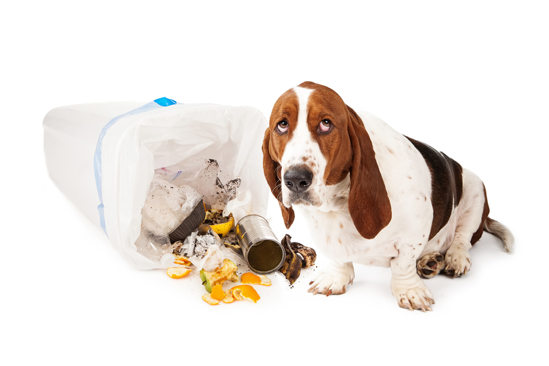 house Waste